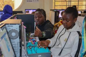 Hummingbird Robotics Kit Students Projects